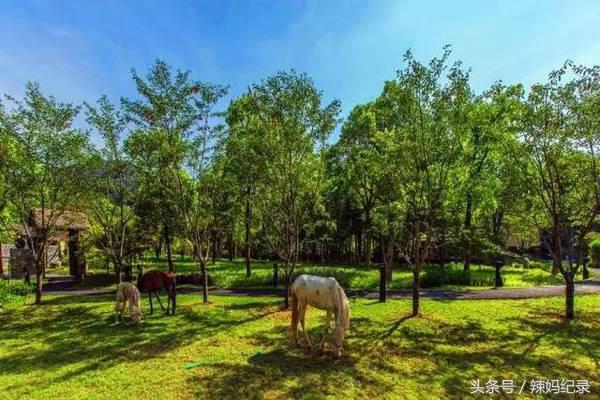 值得去的亲子酒店,暑期值得入住的亲子酒店