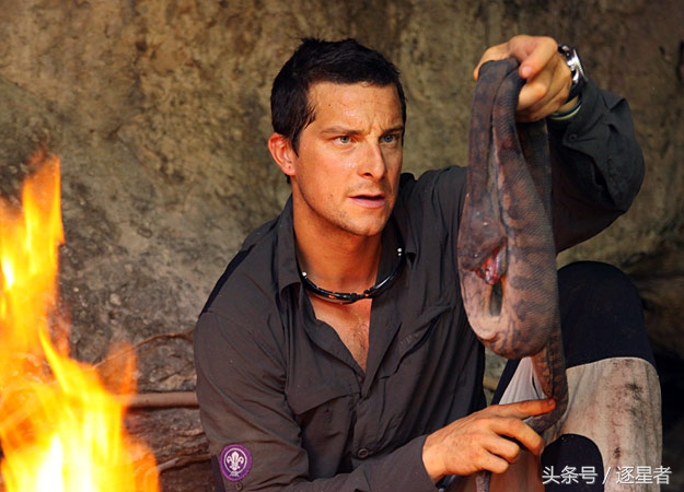 贝爷吃过多少虫子,贝爷吃过的奇怪玩意儿