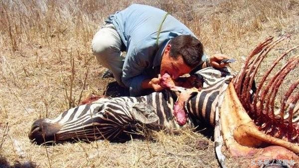 贝爷吃过多少虫子,贝爷吃过的奇怪玩意儿