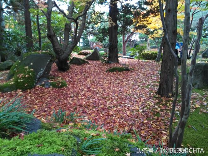 此由志园，非彼幼稚园