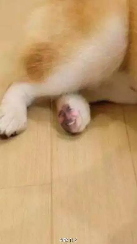 变脸特效搞怪app,美颜变脸app