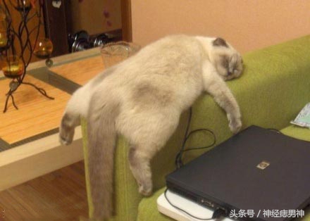 从来没有化过妆玩cos,从没见过这么小众的cos