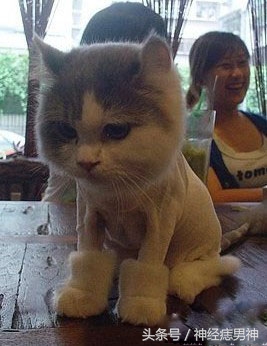 从来没有化过妆玩cos,从没见过这么小众的cos