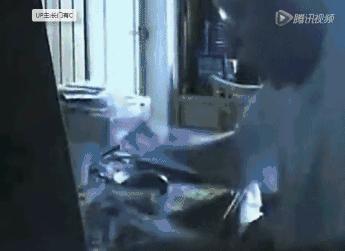 我可能玩的是一个假梗！谁来拯救一下