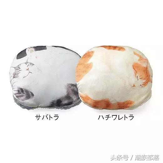 猫控保健,猫控送什么礼物