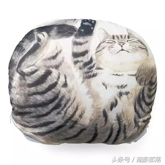 猫控保健,猫控送什么礼物