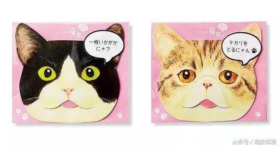 猫控保健,猫控送什么礼物