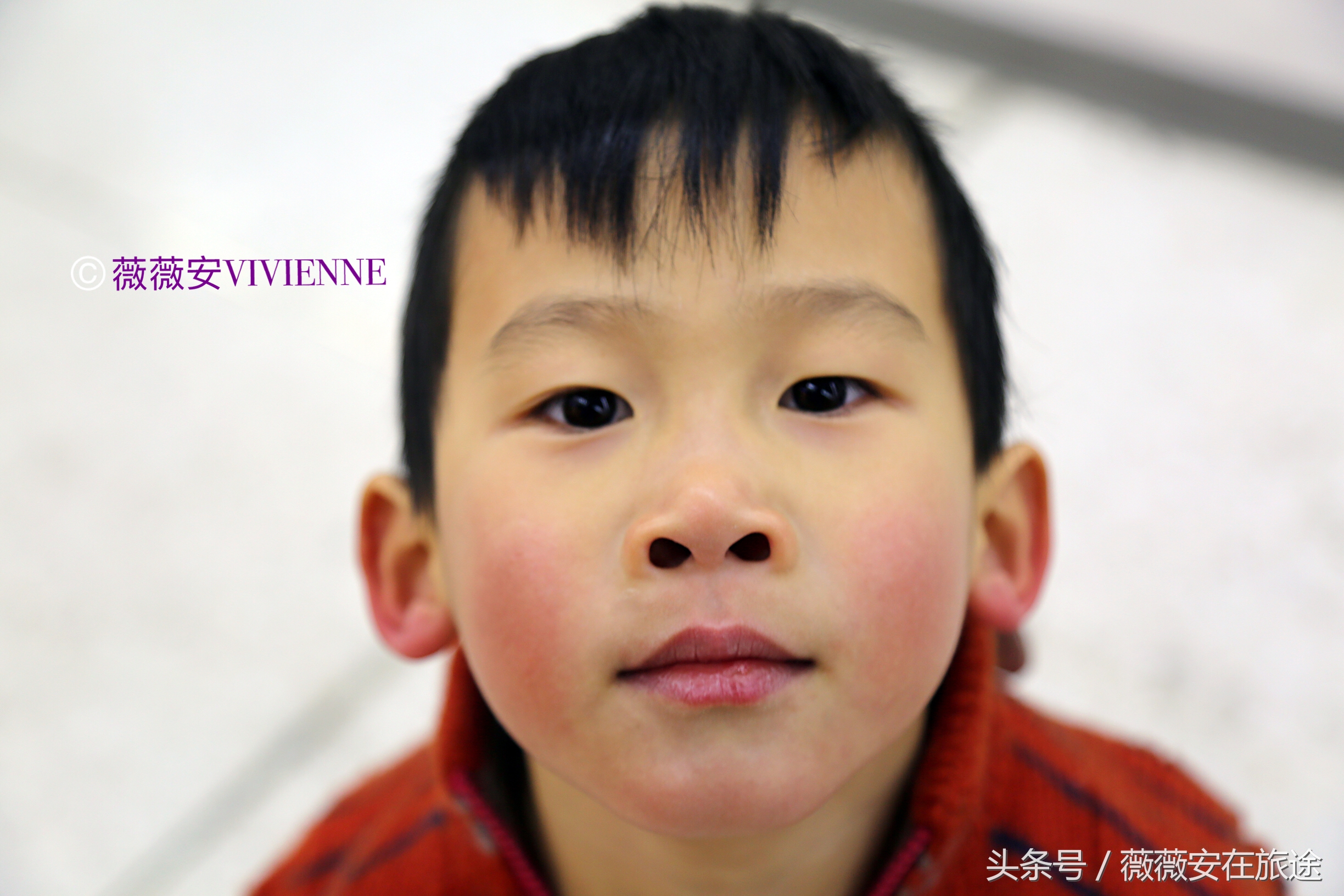 北国冰城之旅,奔赴冰城哈尔滨感受北国浪漫