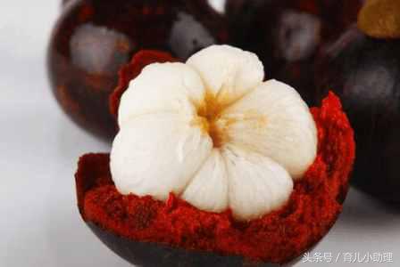 怀孕初期不能吃什么水果呢,怀孕不能吃的水果有哪些