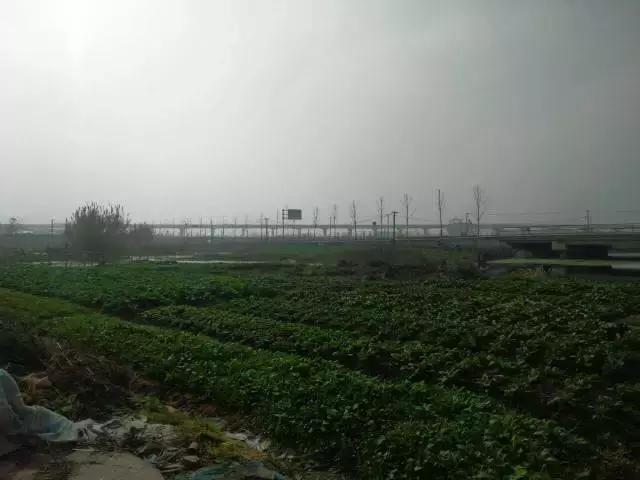 未来规划建设的专业足球场,浦东足球场建设近况