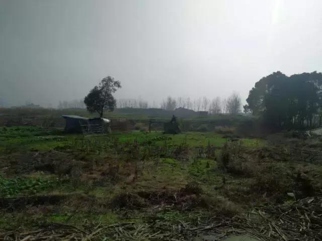 未来规划建设的专业足球场,浦东足球场建设近况