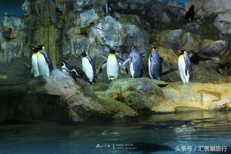 汇客厅2020,狮城新加坡旅游掠影