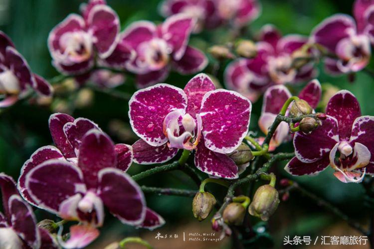 汇客厅2020,狮城新加坡旅游掠影