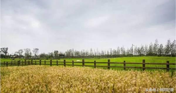 值得去的亲子酒店,暑期值得入住的亲子酒店