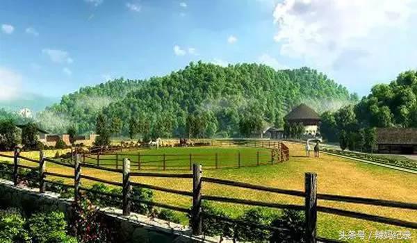 值得去的亲子酒店,暑期值得入住的亲子酒店