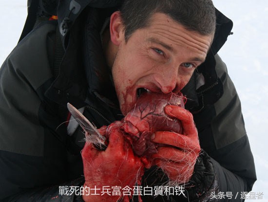 贝爷吃过多少虫子,贝爷吃过的奇怪玩意儿