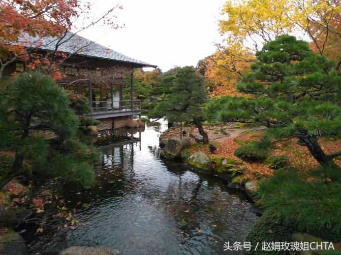 此由志园，非彼幼稚园