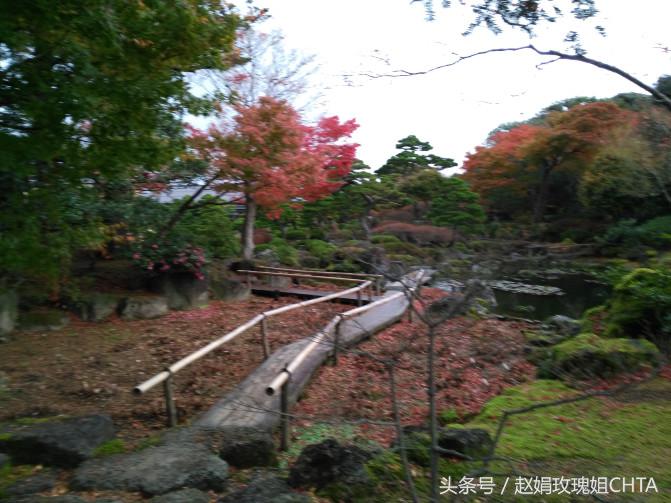 此由志园，非彼幼稚园