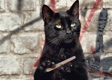 补剂大揭秘,常见补剂的作用和使用方法