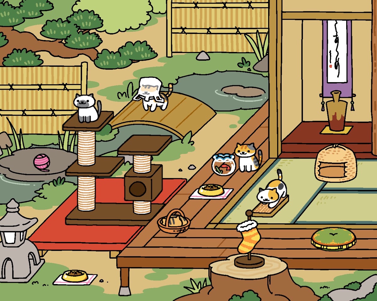 猫咪猫粮怎么做最简单的,怎么用猫粮给猫咪做零食