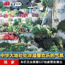 猫家2017年新年联欢晚饭实况报道