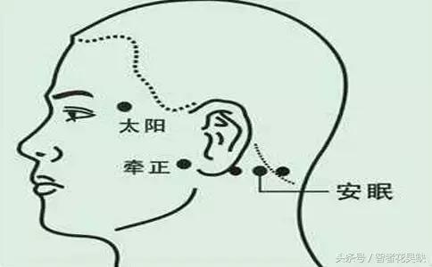 头晕脑胀按摩什么穴位最有效,头部哪些穴位按摩可以缓解头疼