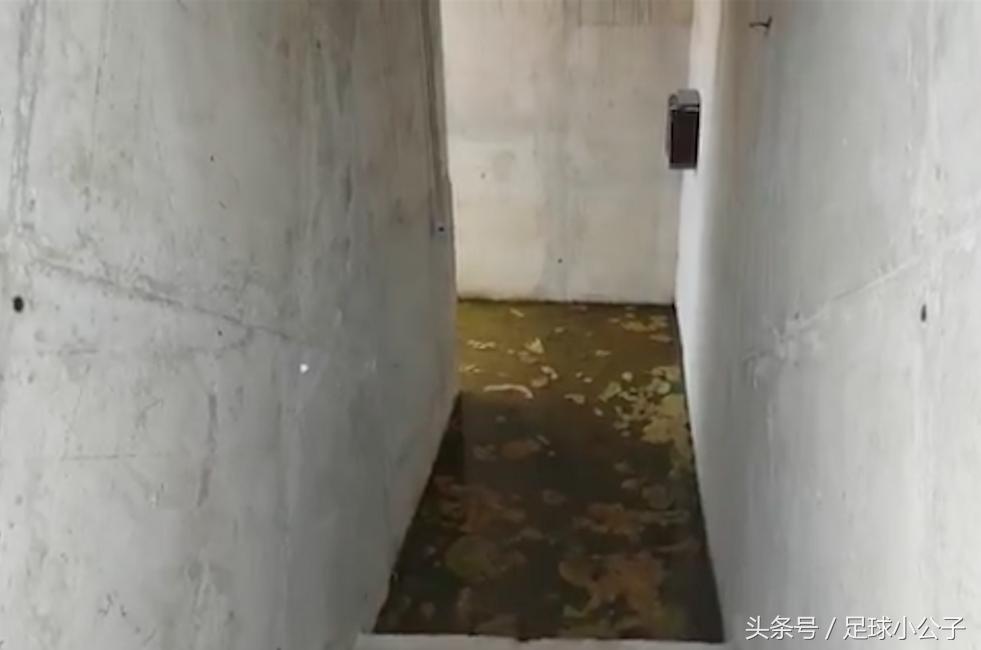 里约奥运会后怎么样了,里约奥运会游泳池变绿