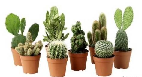 宜家值得买的100件清单,宜家5元以下产品