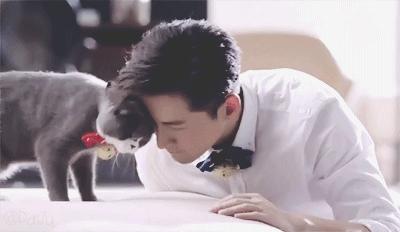 鹿晗胡歌吴磊,鹿晗胡歌葫芦娃