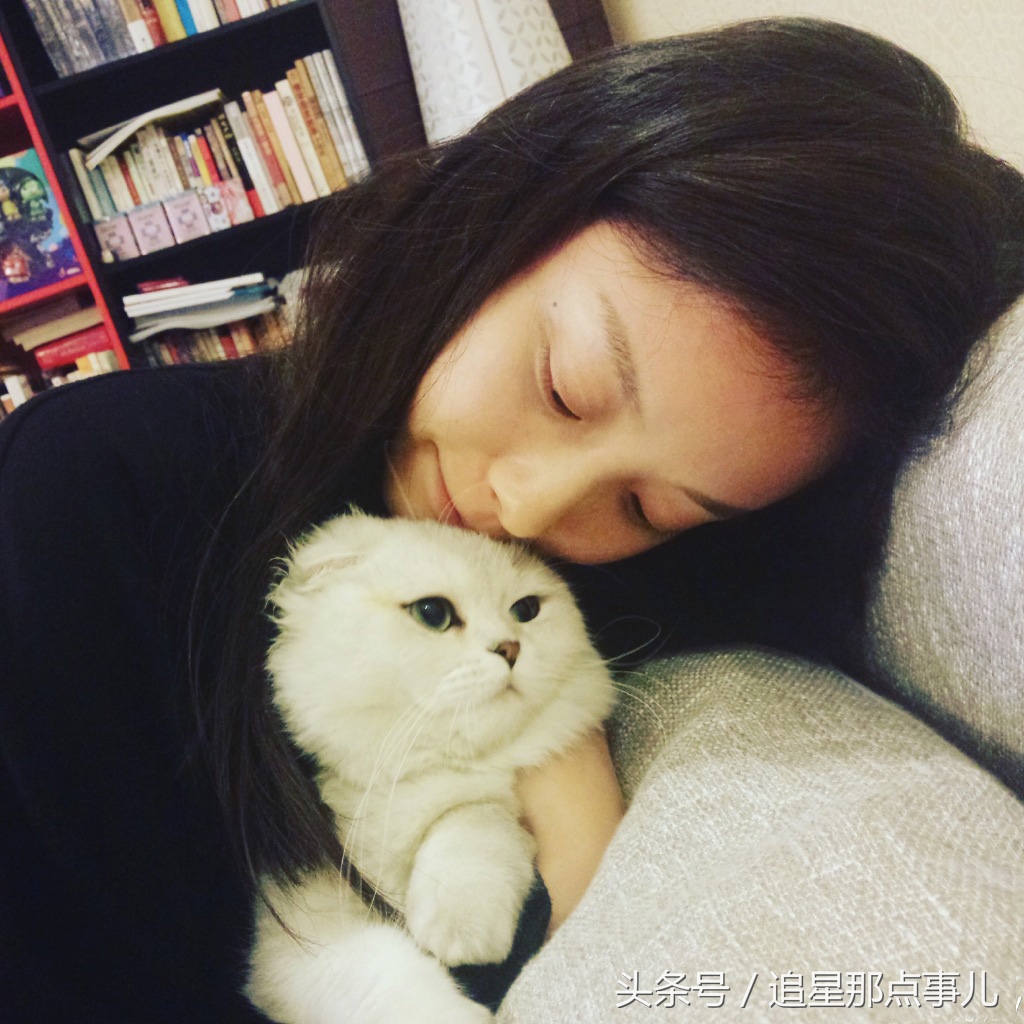 鹿晗胡歌吴磊,鹿晗胡歌葫芦娃