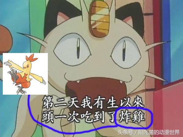 细思极恐！《宠物小精灵》里大家吃的肉类到底是什么？