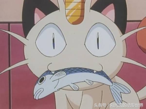 细思极恐！《宠物小精灵》里大家吃的肉类到底是什么？