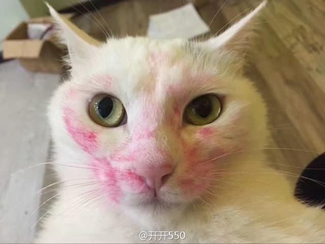 小同志，我要知道你这么傻我就应该多骗你钱了