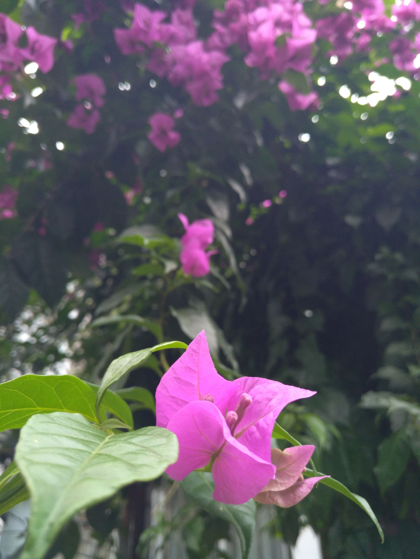 宁夏到陕西的沿途旅游,从宁夏自驾游到重庆多长时间