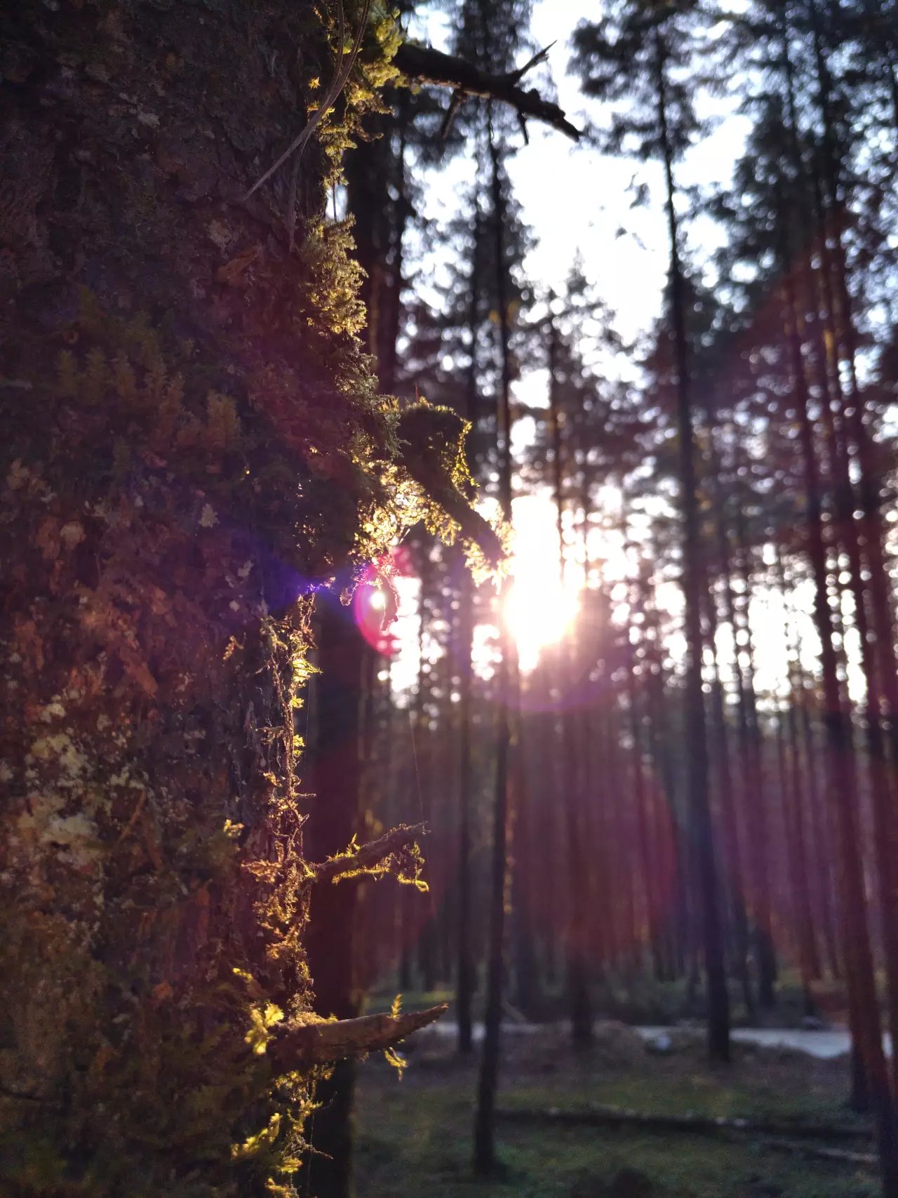 宁夏到陕西的沿途旅游,从宁夏自驾游到重庆多长时间