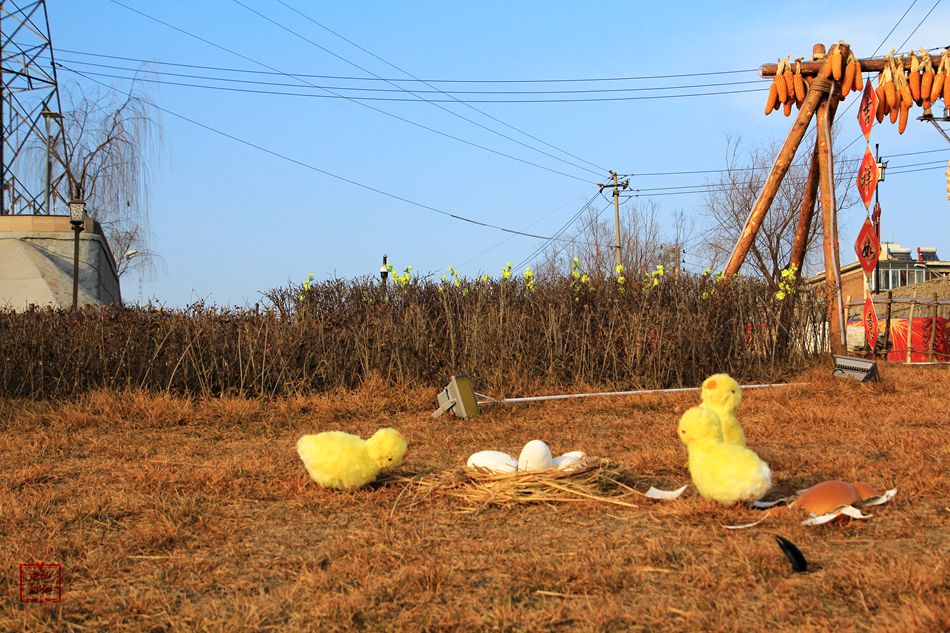 天水麦积区翠湖镇,甘肃天水麦积区翠湖