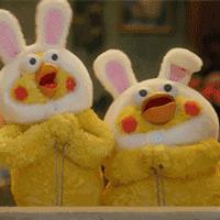 新西兰负鼠是什么,新西兰负鼠