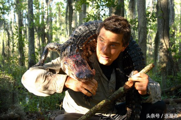 贝爷吃过多少虫子,贝爷吃过的奇怪玩意儿