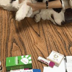 足部走路姿势,一岁宝宝足部正确姿势