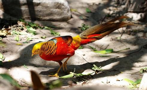 《小明为了能和自己心爱的人在一起，完成了丈母娘的要求》