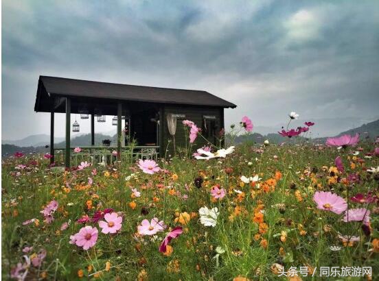 千岛湖畔环境最好的10家民宿可以躺床上钓鱼（下篇）