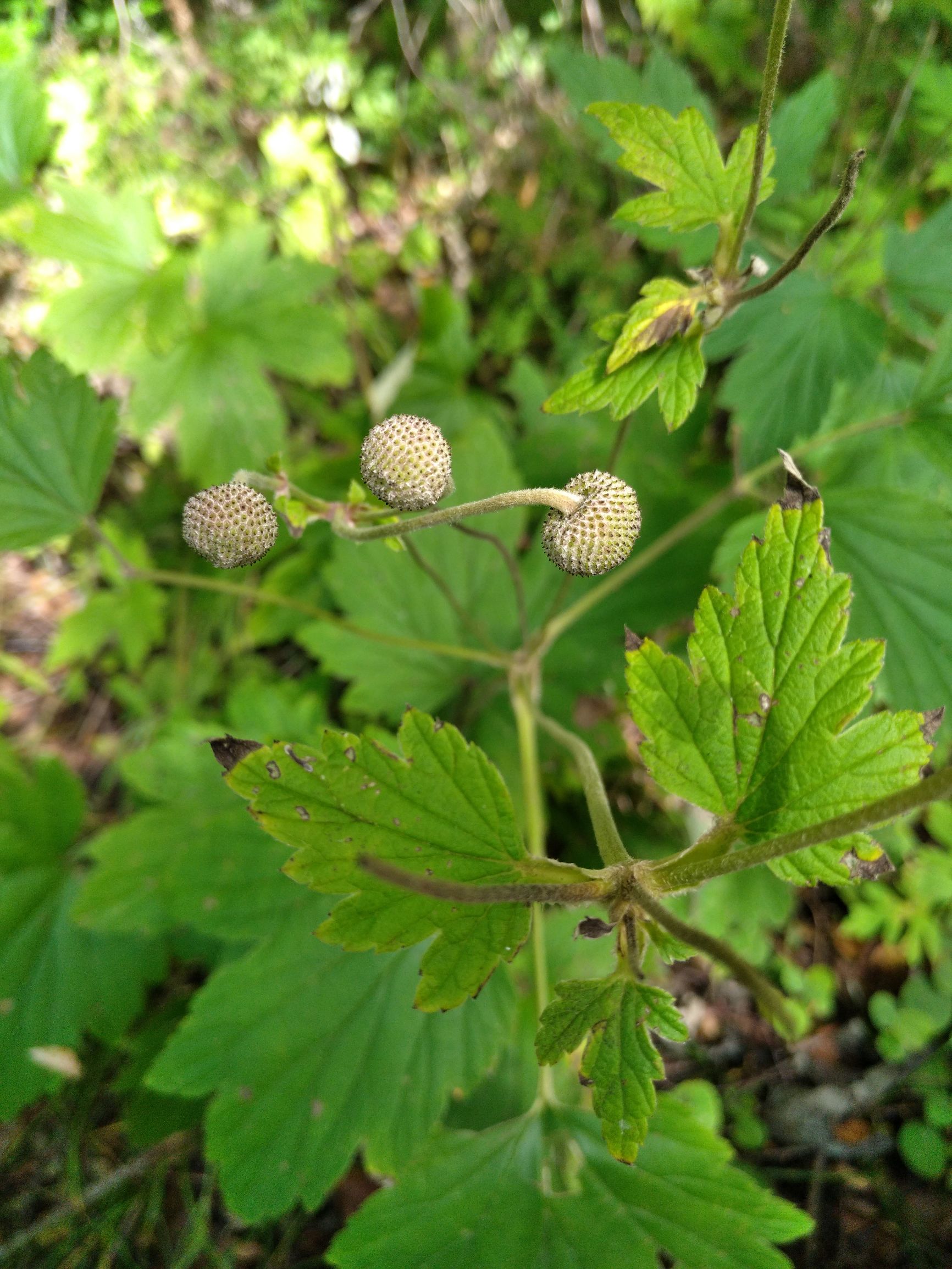 宁夏到陕西的沿途旅游,从宁夏自驾游到重庆多长时间