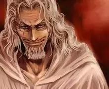 海贼王里的冷知识路飞不吃什么,关于海贼王的100冷知识