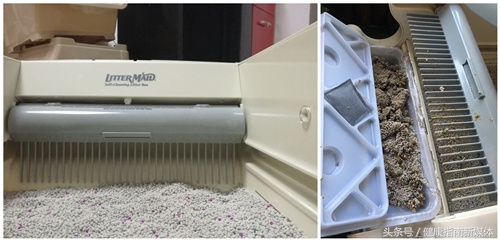 让猫自己在家10天,春节让猫独自在家