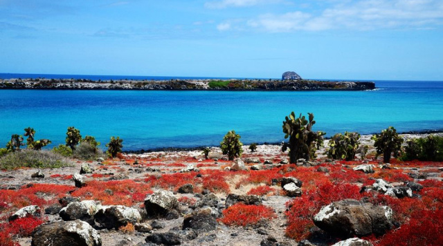 38个对中国免签的国家和地区,2022年7月份旅游值得去的免签国家