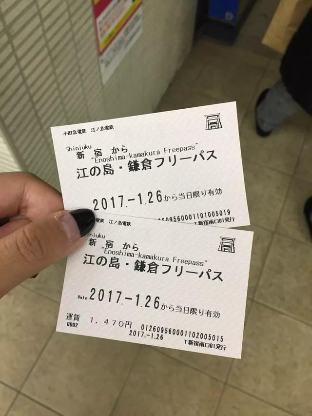 日本dokkan植物酵素老爸评测 (春节日本15天自由行)