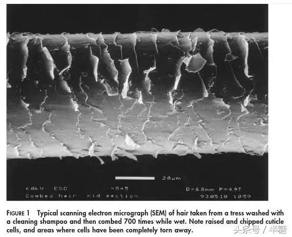 男生头发干燥打结怎么办,为什么你的头发总打理不好
