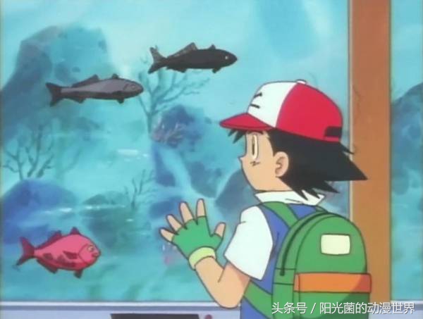 细思极恐！《宠物小精灵》里大家吃的肉类到底是什么？