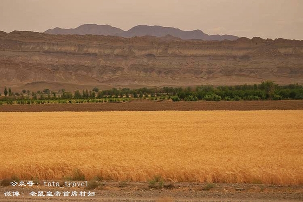 伊朗女人踢足球吗,伊朗女孩踢足球
