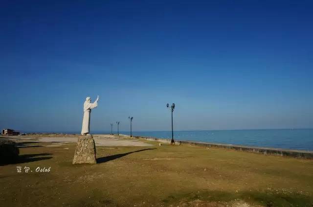 除了鲸鱼海豚还有哪些哺乳动物,除了鲸鲨还有什么鱼比较大